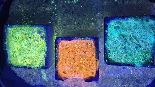 Glow in the dark gymchalk glitter bombs #gymchalkasmr #relaxingvideos #subscribe #fyp #Sleepaidasmr