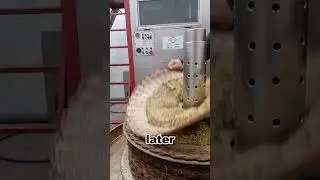 Olive Oil Production Process丨AmazingNotes