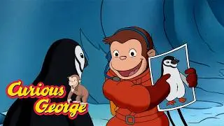 The Lost Penguin Project!🐧 🐵 Curious George 🐵 Kids Cartoon 🐵 Kids Movies