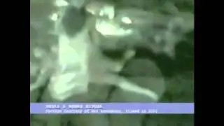Recording of skull and bones initiation