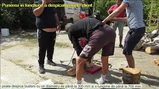 Despicatorul Hecht 6110