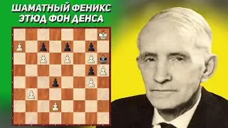 Шахматный феникс. Этюд. Бобо фон Ден, Die Schwalbe 1951 год. Шахматные этюды. Шахматная композиция.