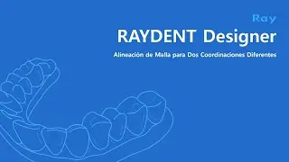 RAYDENT Designer: Alineaci&oacute;n de Malla para Dos Coordinaciones Diferentes
