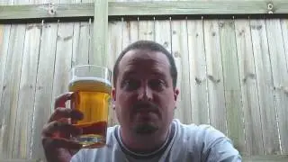 Beck's 5.0% ABV - SwillinGrog Beer Review
