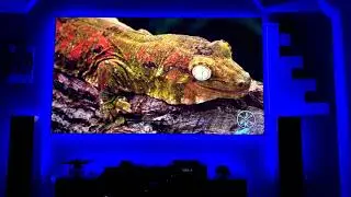 8K JVC projector NX9 RS 3000 | Wow Amazing quality