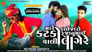 मारे कालजा रो कटकौ रै जानु माई वाली लागै रै singer netaram garasiya नया सॉन्ग 2026 टीमली सोंग 