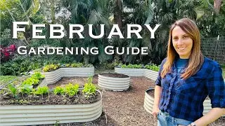 February Garden Guide: The Ultimate Guide to Florida Gardening