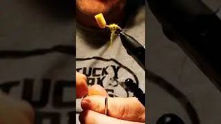 Hopper Popper Variant