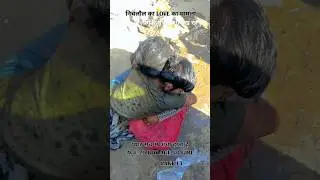 आज का Zenji कहा busy हैं? 😆 #funnyshorts