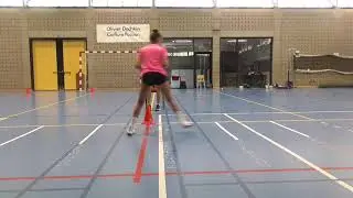 Edgren Side Step FVWB Tests 2020