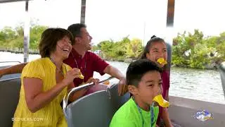 DC Duck Tour Experience by BlackDog Advertising