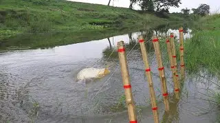 Smart Fishing Trap🐠😊|| Bamboo Fish Video Nice Use Stick River Here Catch Fishermen Life Skill🐟