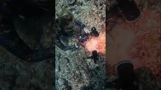 underwater women  #seadiving #shortfeedshort #youtubeshort #seadiving #underwaterdiving #scubadiving