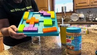 December Enrichment Toy- Brightkins Brain Teaser Treat Puzzle