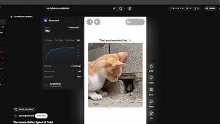 Trending CAT reflexes Compilation