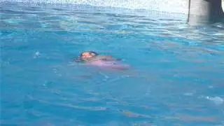 swim10 047.mov