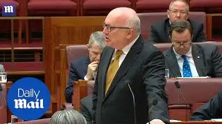 George Brandis slams Pauline Hanson's burqa 'stunt' - Daily Mail