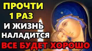 27 января Ночь ВКЛЮЧИ 1 РАЗ ЖИЗНЬ НАЛАДИТСЯ! ВСЕ БУДЕТ ХОРОШО! Молитва Богородице! Православие