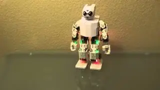 Dance Moves