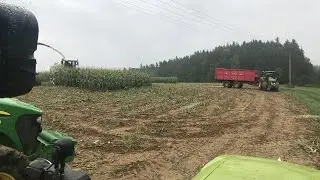 Wild Hogs are Chased From a Corn Field || ViralHog