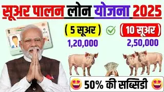 suar Palan Loan 2025 | सुअर पालन लोन कैसे लें | Pig Farming Loan Online Apply |