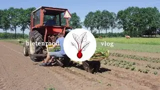 Bietenrood Vlog #19 - Springen en planten