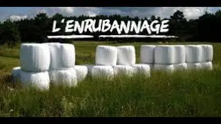 Ramassage de l'enrubann&eacute;e // 2019