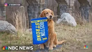 Legacy of the Boston Marathon’s beloved official dog lives on