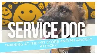 Service Dog Pet Store Training / Anxiety Attack?!