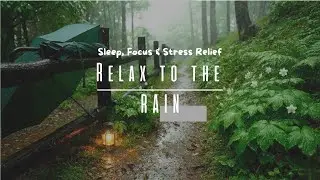🔴Quiet Forest Path &mdash; Peaceful Nature Ambience for Relaxation