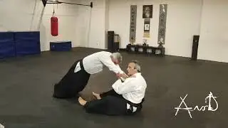 Shisei et Kokyu Ryoku, cours a l'Ansd. 