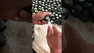 The Unique Orange Infused Tea Method #shortsvideo