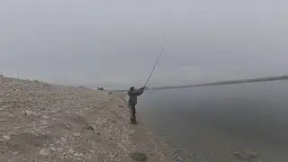 off grid daily trout fishing Catch in the Wild