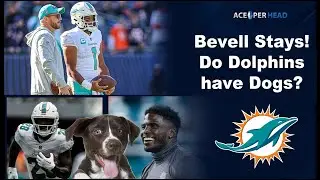 Bevell Stays! Hill vs Achane Dog Debate!