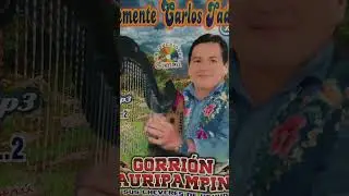 GORRION TAURIPAMPINO. Tema:ENVIDIA EN MI PUEBLO.
