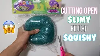 CUTTING OPEN SLIME STRESS BALL SQUISHY FROM FIVE BELOW!
