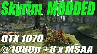 Skyrim with Mods | GTX 1070 @ 1080p & 8xMSAA Perfomance Test