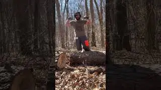 HWMF #firewood #chainsaw #backwoodslife #stihl  #hwmf #sethferoce #logging #outdoors #ms661