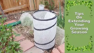 Extending Your Growing Season