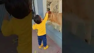 A Little boy serving roti to little cow & taking blessing🙏 || Bond of unconditional love ❤️