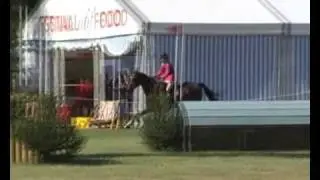 Coedfryn Topnotch: Pony Club at Blenheim Horse trials