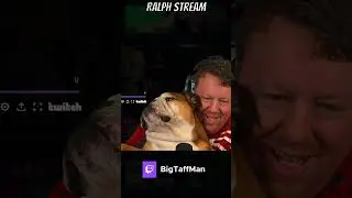 When Ralph took over my Stream - #bulldog #twitch #fyp