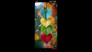 Artist Ranju Live Stream