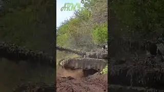 Производить новые Т-90М или модернизировать Т-80. Какой танк выгодней с экономической точки зрения