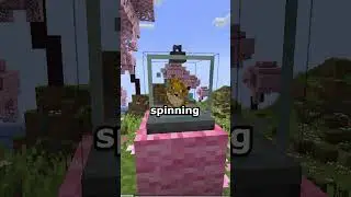 The New Way To Display Your Items in Minecraft | Display Case Mod