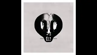 Bullet for My Valentine - 
