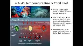 4.4 - Climate Change