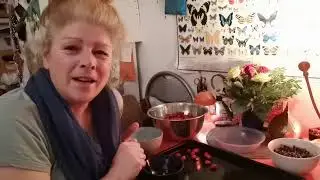 🌱 Auch weniger Saft kann mehr sein - Die Hagebutte in Trockenverarbeitung