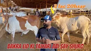 Bakra Eid ki taiyaari Abi say shuro.. #cattlemarket #season2024