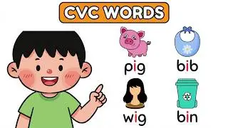 CVC Words Reading Practice | Short I | wig bib bin